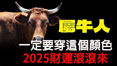 屬牛適合的顏色|【2024屬牛幸運色】2024屬牛人必看！穿對旺運色，。